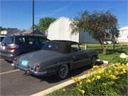 367_61_Strasburg