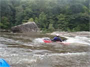 87_KarenFrankSurfing