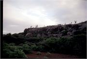 BonaireTopsides5