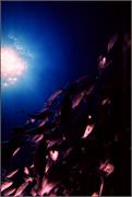 June1996-1-6