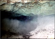 326_11_VortesSpTrey