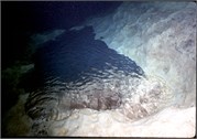 326_20_VortesSpTrey