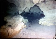 326_22_VortesSpTrey