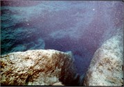 326_38_VortesSpTrey