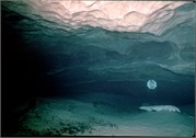 326_5_VortesSpTrey