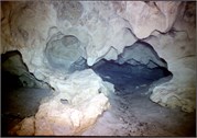 326_62_VortesSpTrey