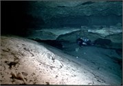326_8_VortesSpTrey