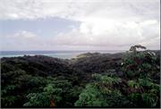 Roatan1-3-12