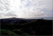 Roatan1-3-14