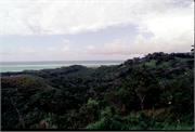 Roatan1-3-15