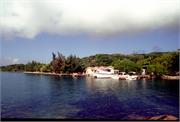 Roatan1-3-6