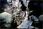 LittleCanyon4-4