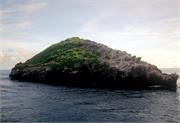 Galapagos245-3-11