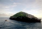 Galapagos245-3-12