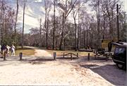 GinnySprings2