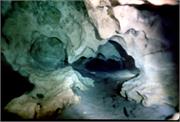 CowSprings2-