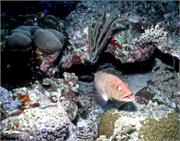 Bonaire1-2-5