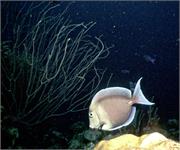 Bonaire1-2-6