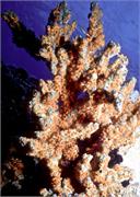 Bonaire1-3-8