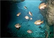 cave1-3