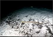 cave2-6