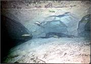 cave2-9