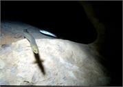 cave3-3