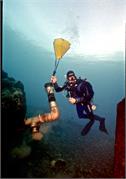 CaveDiving1-11
