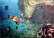 CaveDiving1-13
