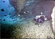 CaveDiving1-14