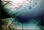 CaveDiving1-37
