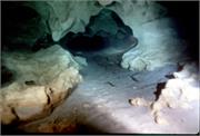 CaveDiving1-48