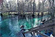 CaveDiving1-54