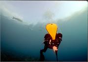 CaveDiving2-33