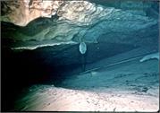 CaveDiving3-27