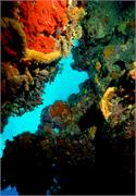 ScenicViews1-13