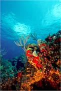 ScenicViews1-15