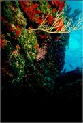 ScenicViews1-16