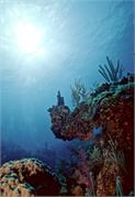 ScenicViews1-17