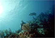 ScenicViews1-18