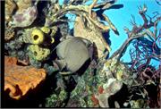 ScenicViews1-2