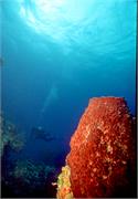 ScenicViews1-24