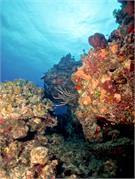 ScenicViews1-25