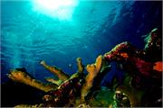 ScenicViews1-30
