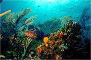 ScenicViews1-35