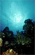 ScenicViews1-43