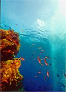 ScenicViews1-5