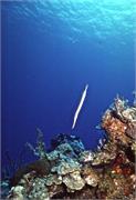 ScenicViews1-52