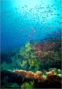ScenicViews1-7