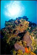 ScenicViews2-27